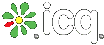 Web ICQ